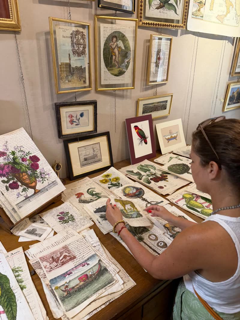 Old botanical prints in a Florence vintage shop